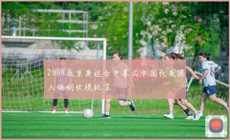 2008北京奥运会开幕式中国代表团入场创收视纪录