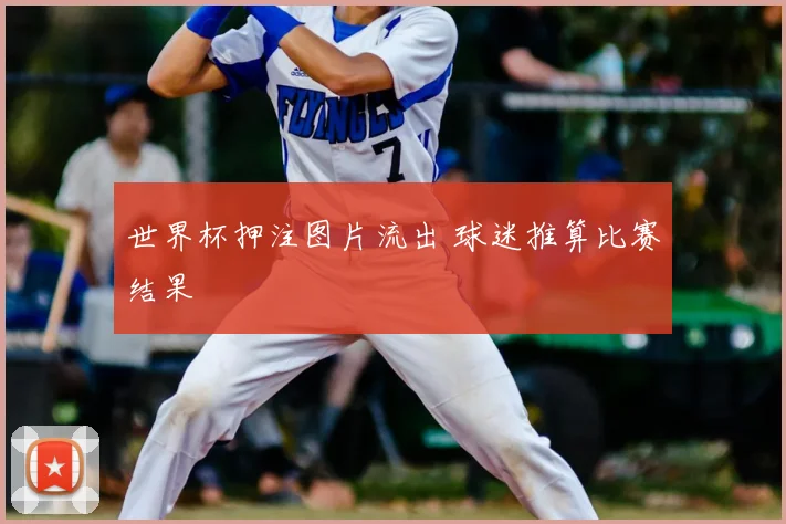 世界杯押注图片流出 球迷推算比赛结果