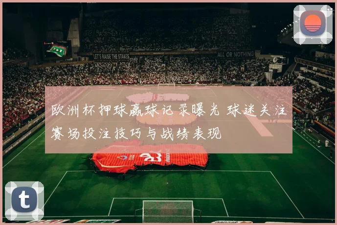 欧洲杯押球赢球记录曝光 球迷关注赛场投注技巧与战绩表现