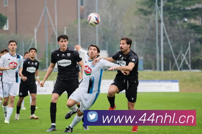 世界杯在线观看官网服务体系